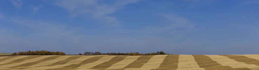 Big Sky Pano