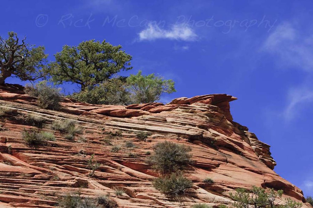 Peaks at Zion