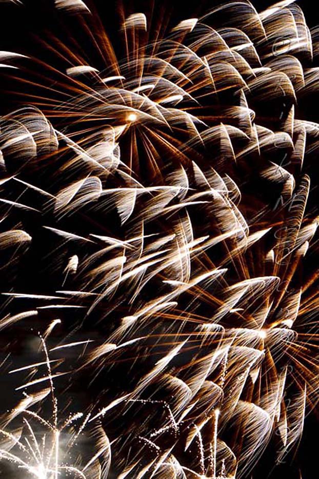 Fireworks Feathers