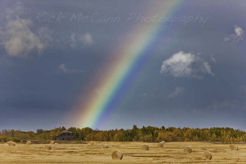 Fall Pot of Gold