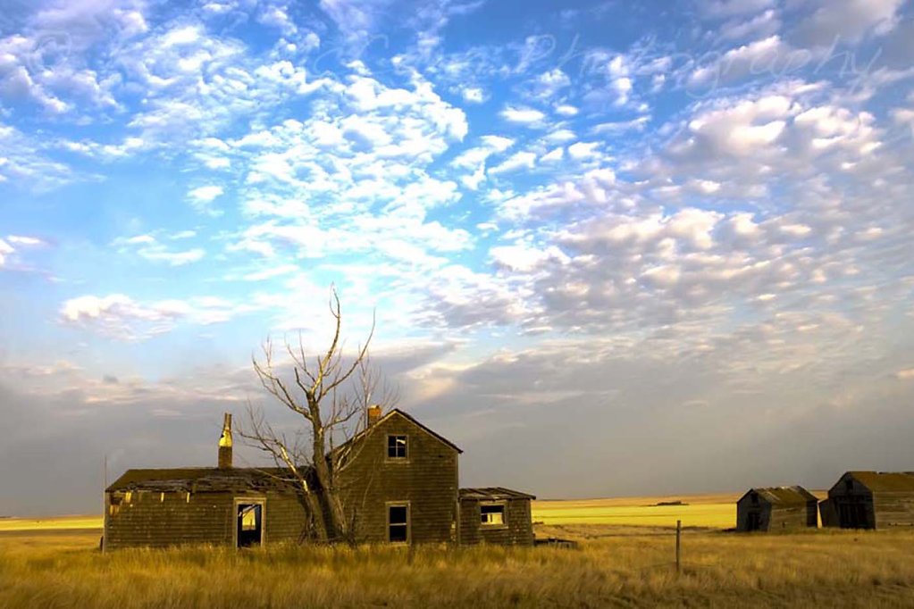 Old Homestead